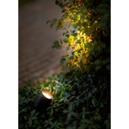 Low voltage garden lighting Ludeco Stig spotlight. (2)