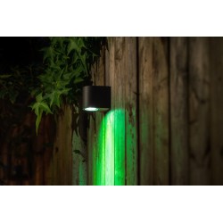 Techmar Garden Lighting UK Outdoor Lights Low Voltage DIY 12v Gilvus Smart RGB green