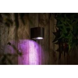 Techmar Garden Lighting UK Outdoor Lights Low Voltage DIY 12v Gilvus Smart RGB pink