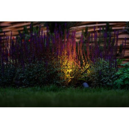 Lightpro Outdoor Garden Lighting Professional DIY  12v Juno 2 1.5w IP65 7