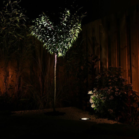 Techmar Garden Lighting UK Outdoor Lights Rubum 12V 5W LED Outdoor Uplight 4